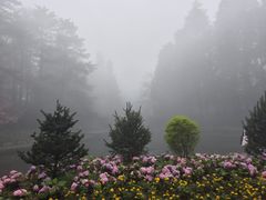 -庐山风景区花径公园