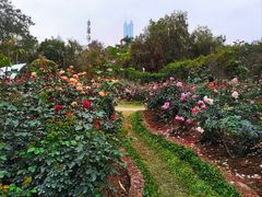 -人民公园(罗湖区)