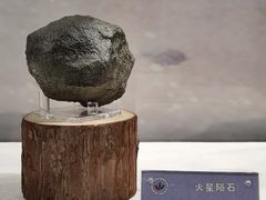 -中国地质博物馆