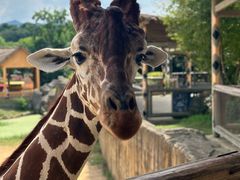 -杭州野生动物世界