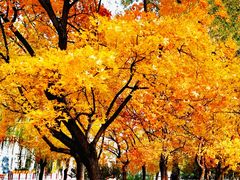 -元大都城垣遗址公园