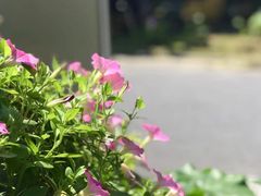 -SEN CASTLE城堡西餐(创意设计中心店)