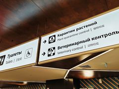 -谢列梅捷沃国际机场