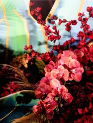 点击看大图 -王府花园酒店·宴会厅