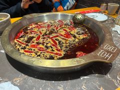 -堂客老火锅(欣阳广场总店)