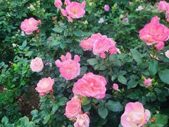 -人民公园(罗湖区)