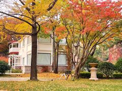 -八大关景区