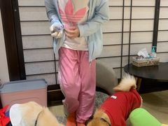 -逗柴咖啡屋·狗咖猫咖宠物桌游