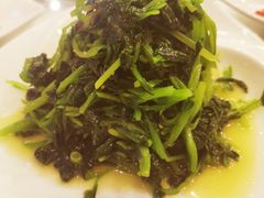 凉拌板蓝根-迎宾楼(解放西街店)