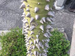 -鸿山公园