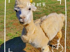 -大连铭湖国际观光牧场