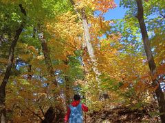 -天女山森林公园