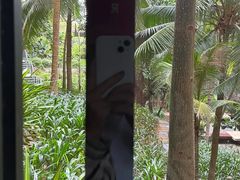 -海南清水湾莱佛士酒店