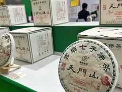 -天津梅江会展中心