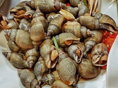 秘汁翡翠螺-全渔村小海鲜