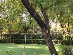 景观位-福楼法餐厅FLO