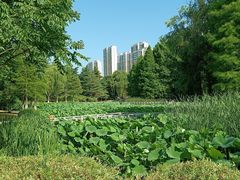 -白塘生态植物园