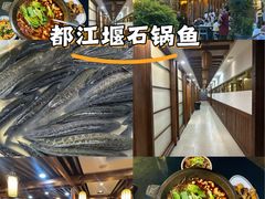 -都江堰石锅鱼
