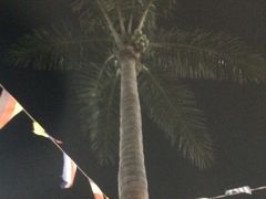 iphone_upload_pic-汤山欢乐水世界