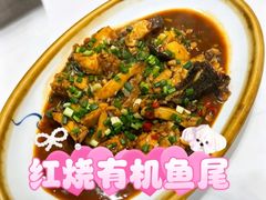 -全乐鱼馆·淳牌有机鱼直营店