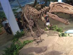 -自贡恐龙博物馆