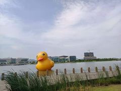 -琅岐红光湖公园