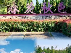 -春花秋色城市公园