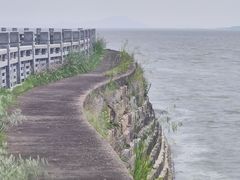 -观潮胜地公园