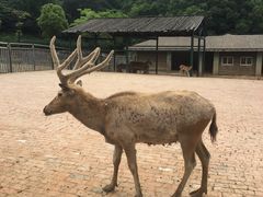 -无锡动物园·太湖欢乐园