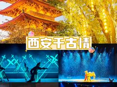-陕西历史博物馆
