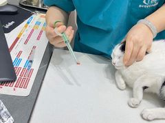 -派特宠物医院(圆融广场店)