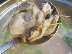 -千岛蚝高压锅生蚝·人参火锅(白云万达店)