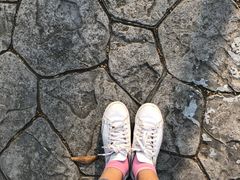 -青枫公园
