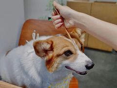 -素咫咖啡CLIFEROSE(新安店)