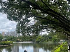 -深圳龙潭公园