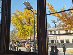 -天正河鲀·河豚亭(大连店)