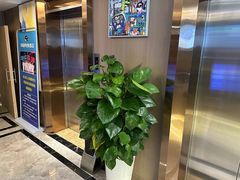 -网鱼电竞酒店(成都欢乐谷金府地铁站店)