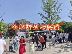 -合肥野生动物园