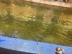 -光头佬室内钓虾场·烧烤·团建·亲子(中山八路店)