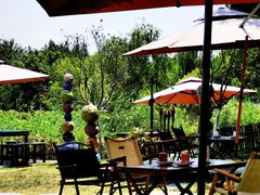 -Supine Bistro溯泮餐厅