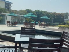 -厦门悦华酒店·绿庭主题自助餐厅
