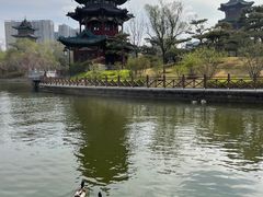 -迎泽公园