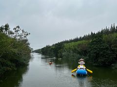 -黄海国家森林公园