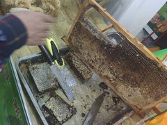 -沈阳国际会展中心管理有限公司