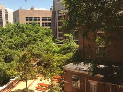 -香港大学