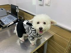 -爱侣宠医·鹦鹉专科·小型哺乳类·异宠专科(灵石路店)