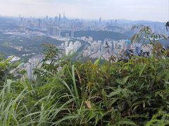 -梧桐山风景名胜区