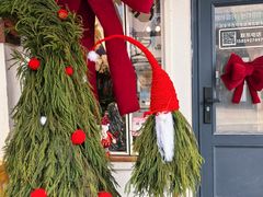 -溪岸路花鸟市场