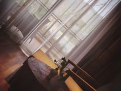 -苏州环秀晓筑养生度假村