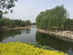 -大兴滨河森林公园